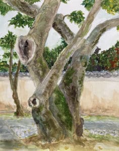 43回講習会小山作品